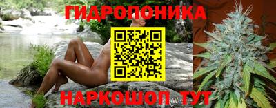 гашик Севастополь